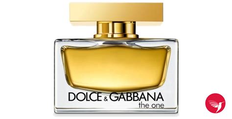 dolce gabbana prague|Dolce & Gabbana dolce fragrantica.